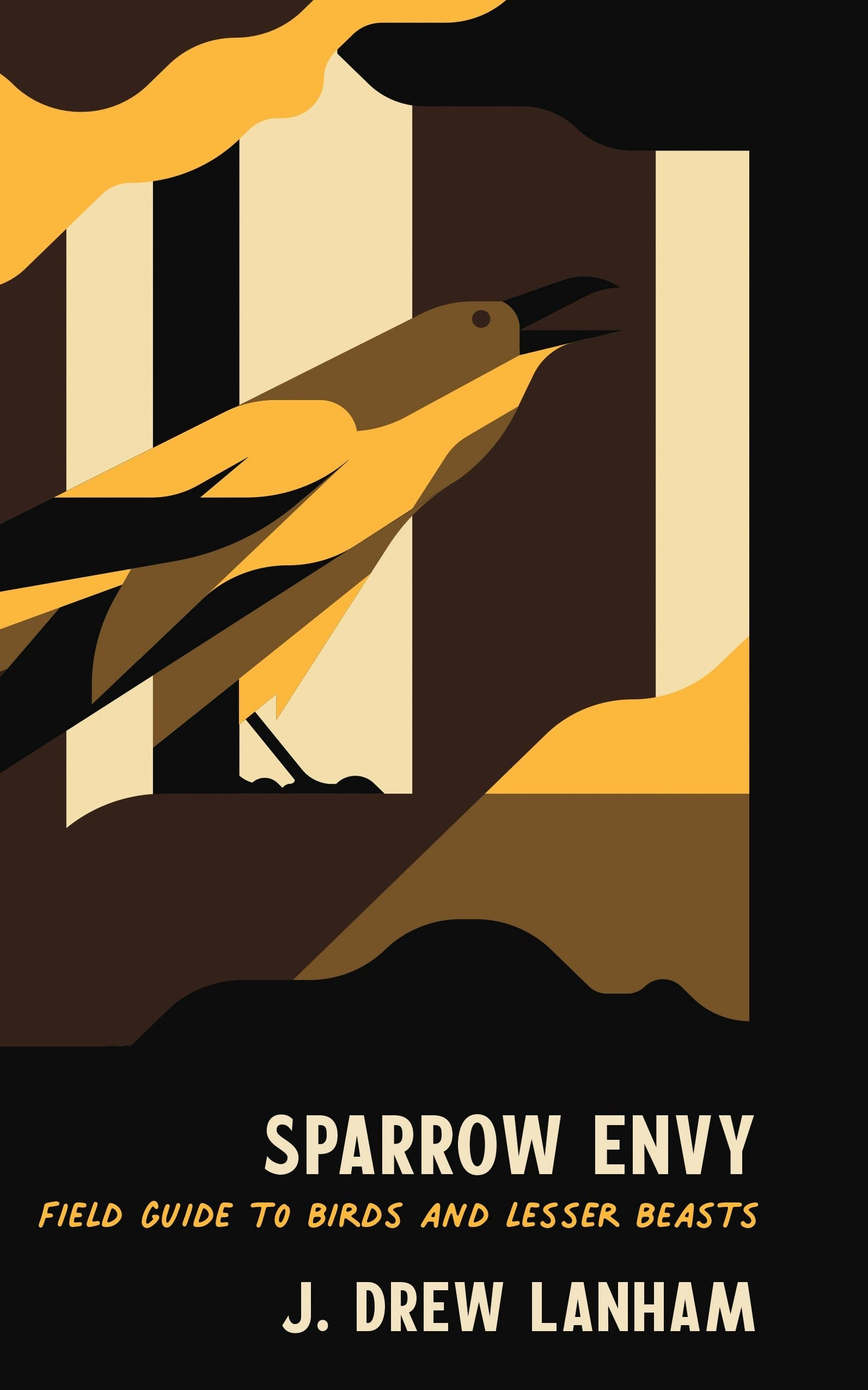 Book cover image for Sparrow Envy ISBN: 9781938235825